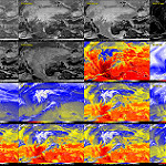 View HIGHEST REZ Version in new window. GOES-16 16 Panel ABI