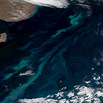 View HIGHEST REZ Version in new window. Plankton Swirls off Argentina Coast