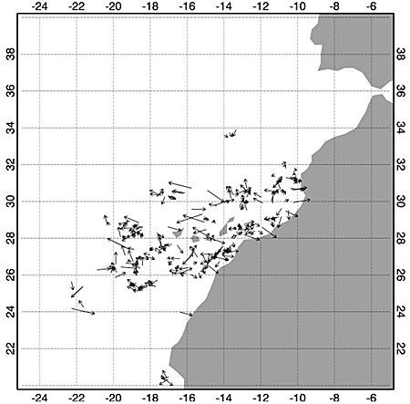 Example of the Ocean Currents product as generated by the GOES-R Ocean Currents algorithm using SEVIRI data on 08 July 2005 at 1200 UTC. Vector length indicates derived current strength (1 degree = 1 m/s). Example of the Ocean Currents product as generated by the GOES-R Ocean Currents algorithm using SEVIRI data on 08 July 2005 at 1200 UTC. Vector length indicates derived current strength (1 degree = 1 m/s).