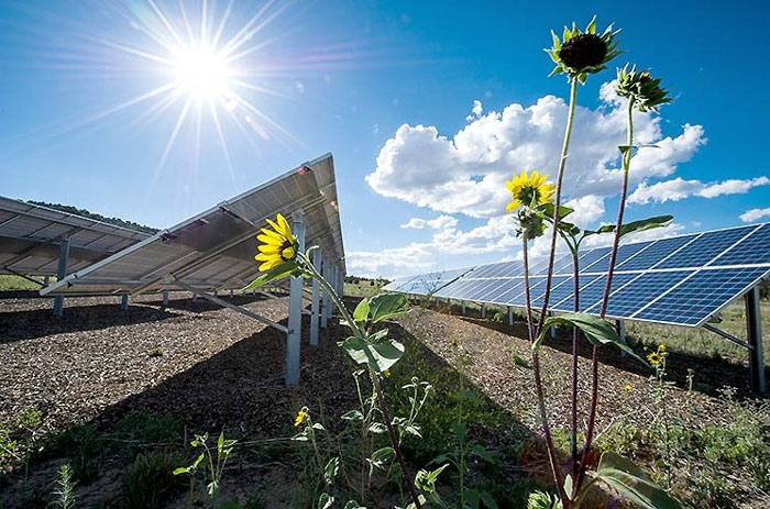 Solar farm. Credit: Department of Energy