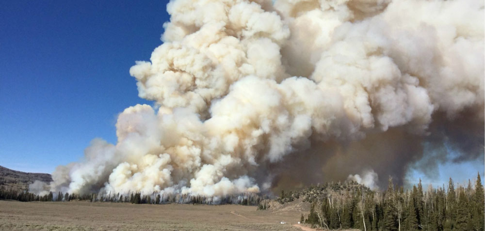 Fish Lake burn in 2017. Credit: USFS