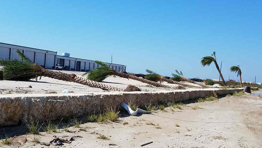 Beach damaged by a hurricane. Credit: NCEI