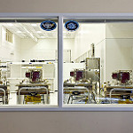 Like Babies in a Nursery!