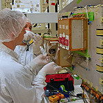 GOES-R Space Environment In-Situ Suite Installed on Spacecraft